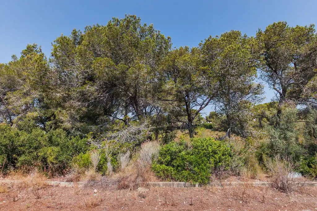 Terreno en venta en L'Ametlla de Mar 