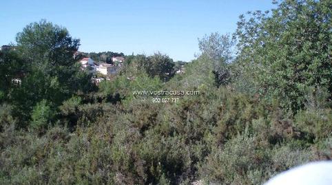 Foto 2 de Terreno en venta en Veintisiete, -1, Los Felipes - Corral de Carmelo, Chiva