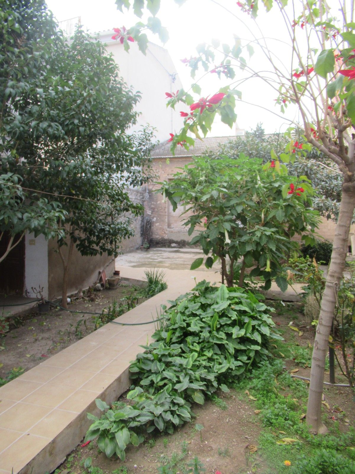 Jardín de Casa o chalet en venta en San Vicente del Raspeig / Sant Vicent del Raspeig con Aire acondicionado, Calefacción y Jardín privado