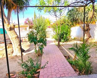 Jardí de Planta baixa en venda en Guardamar del Segura amb Terrassa