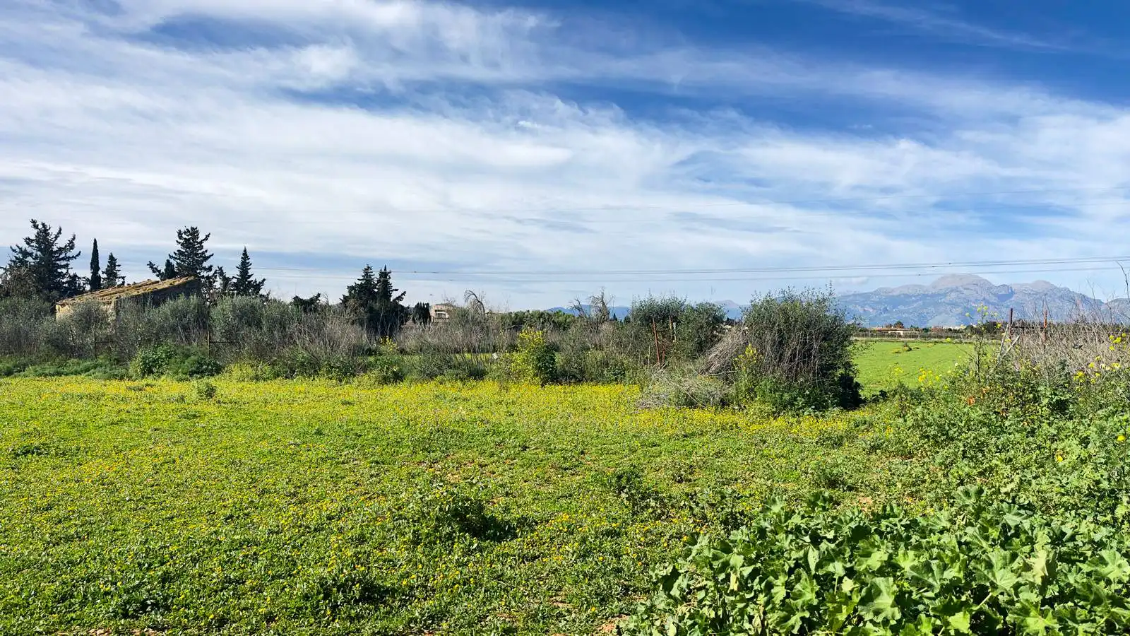 Maison rustique à vendre à Polígono Biniaco, imagen 15