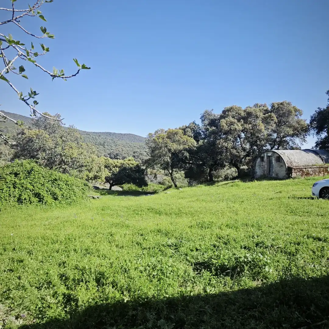 Terreno en venta en Navamorcuende