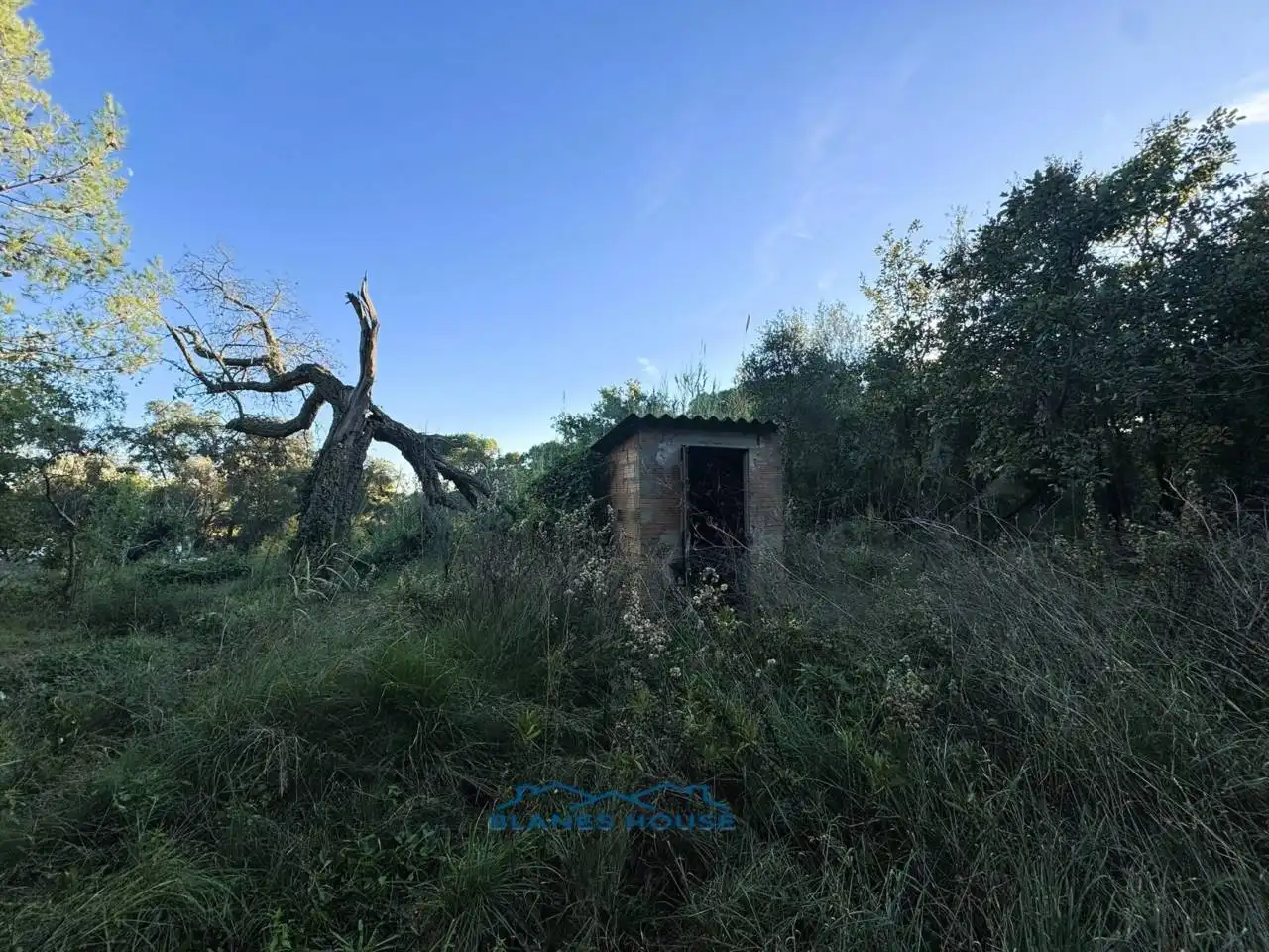 Finca rústica en venda en Tordera amb Jardí privat