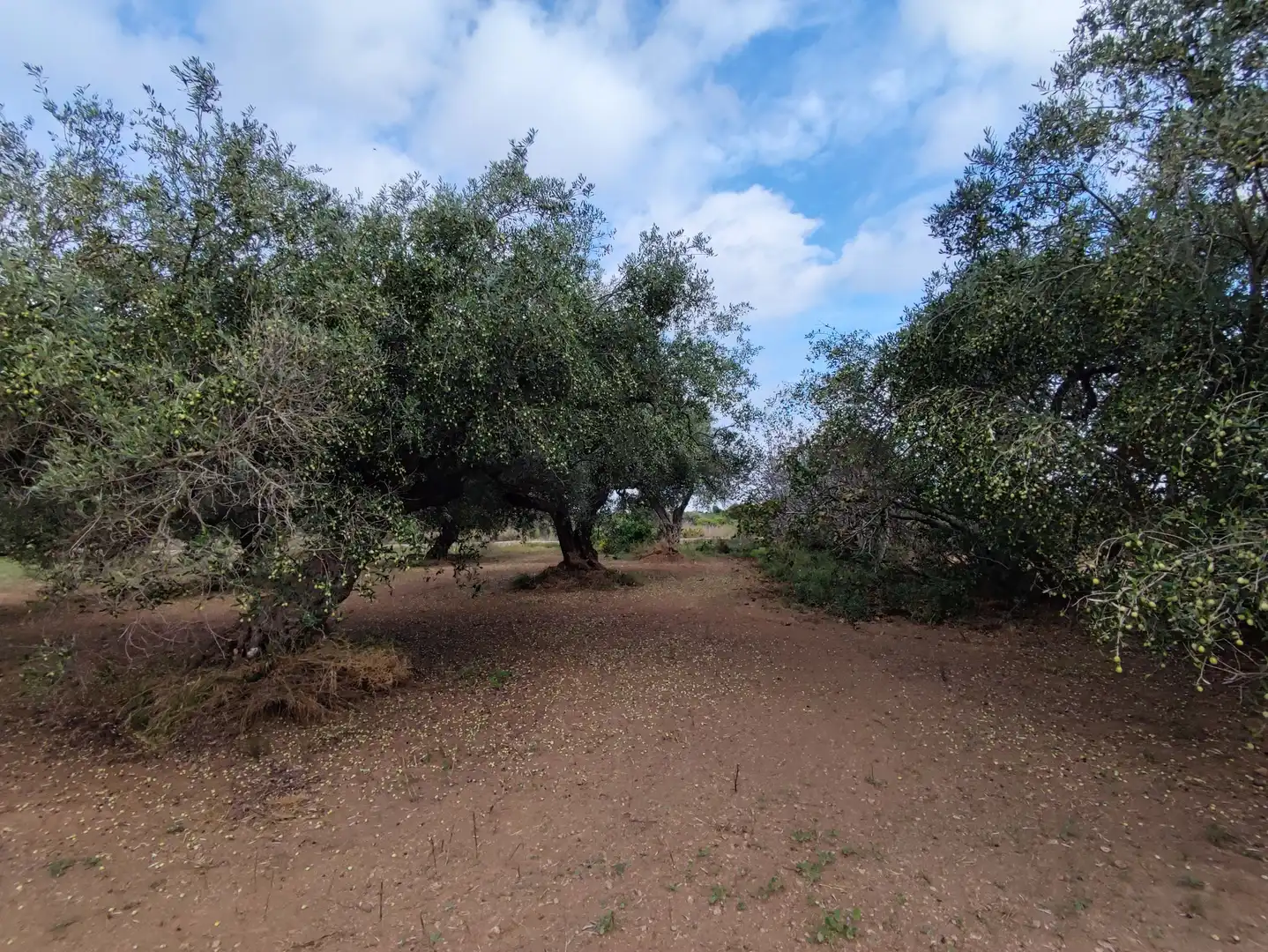 Country house for sale in Valletes - Xiribecs, imagen 36