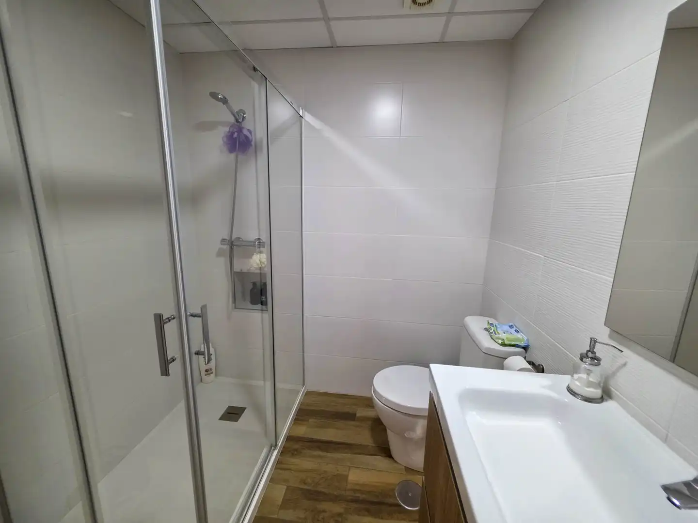 Mini appartamento con piscina in vendita a PUEBLO PLACIDO, imagen 14
