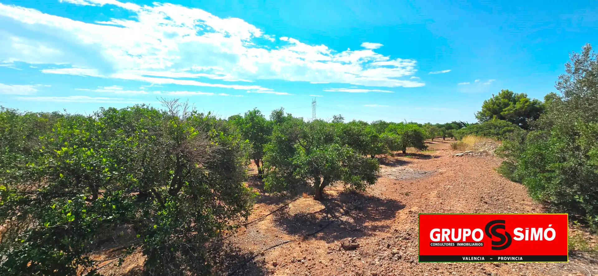 Terreno en venta en Náquera