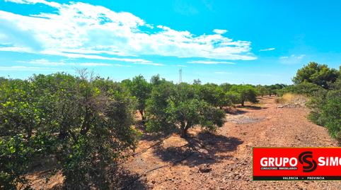 Photo 3 of Land for sale in Polígono 14, 292, Corralet - Bonanza - Tres Rutas, Náquera