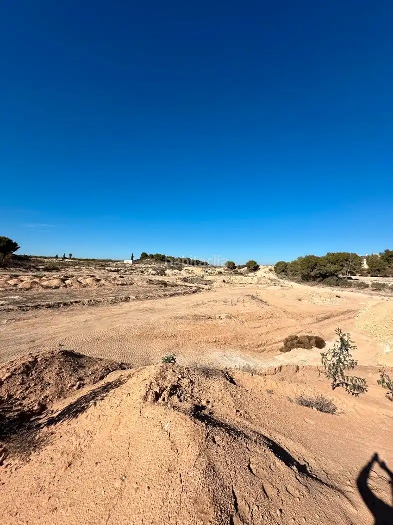 Terrain rustique à vendre à Camino de Catral 31, imagen 32