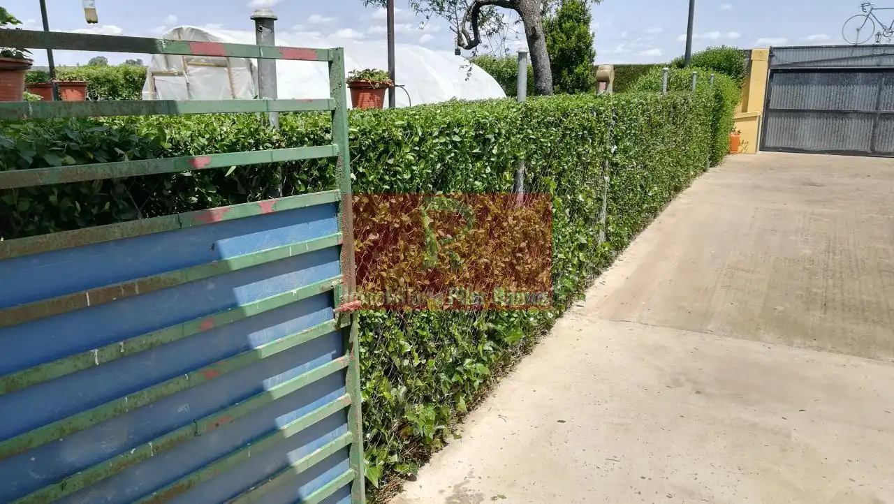 Jardín de Casa o chalet en venta en Chozas de Abajo con Calefacción, Jardín privado y Parquet
