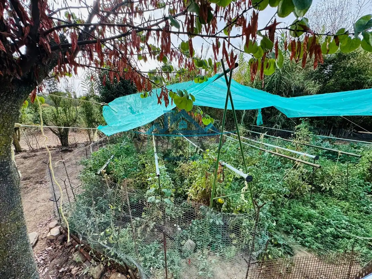 Casa rústica amb jardí en venda a carretera malpica del tajo, imagen 47