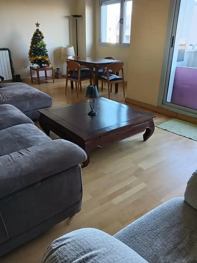 Sala d'estar de Pis per a compartir en Valencia amb Parquet, Moblat i Forn
