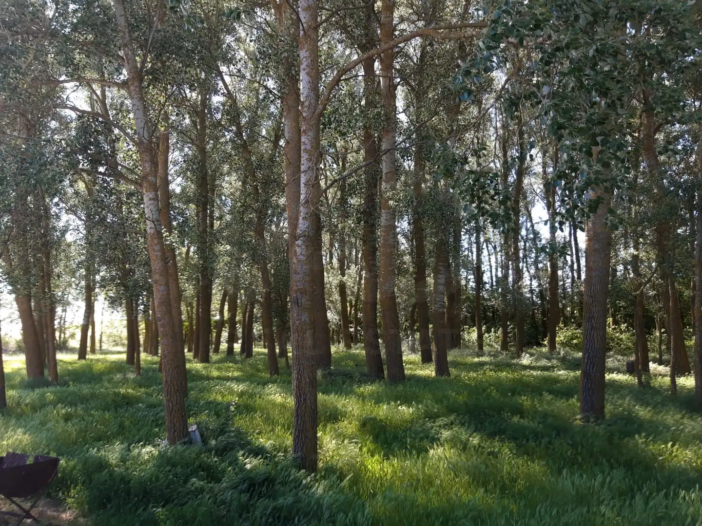 Terreno en venta en Aguilar de Campos