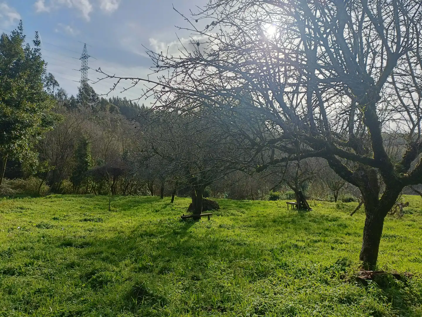 Casa o xalet en venda en Cesuras amb Jardí privat
