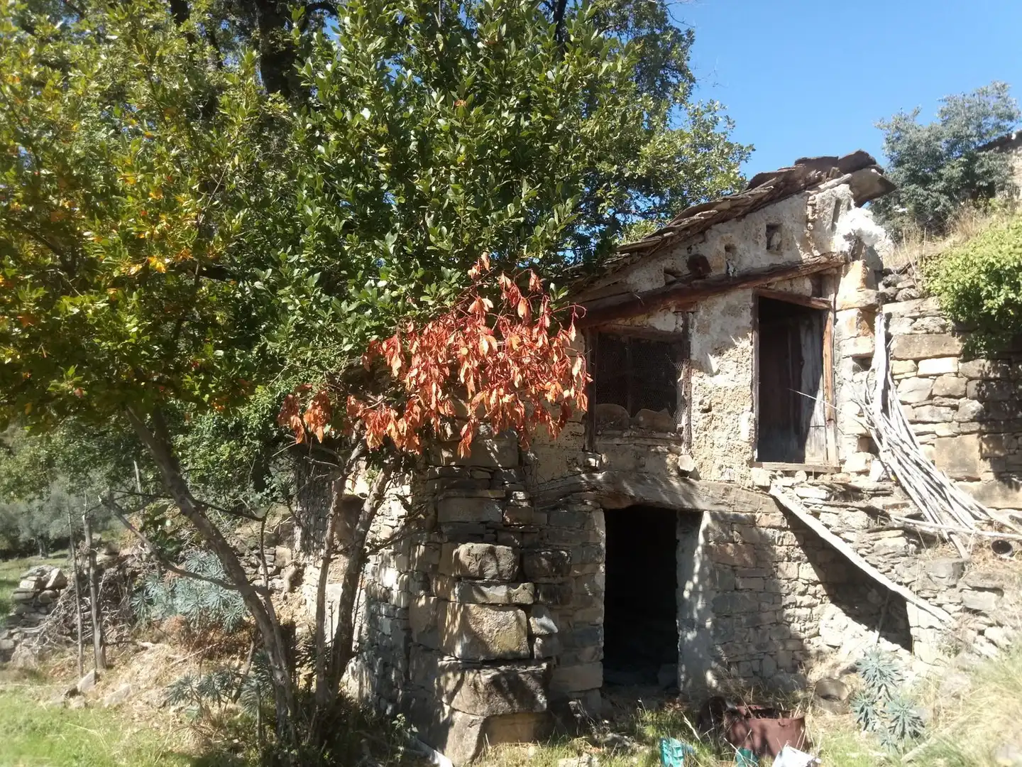 Vista exterior de Casa o chalet en venta en El Pueyo de Araguás con Jardín privado