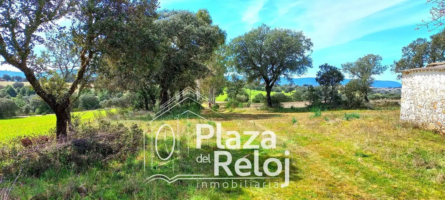 Terreno rustico in vendita a CERVANTES 0, imagen 21