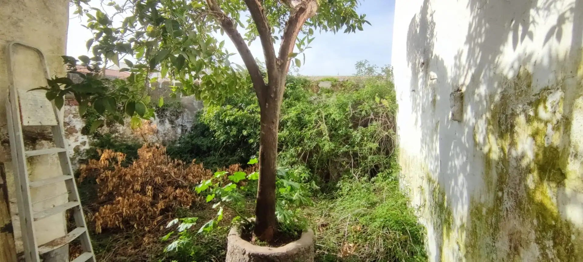 Maison à vendre à Aldea del Cano