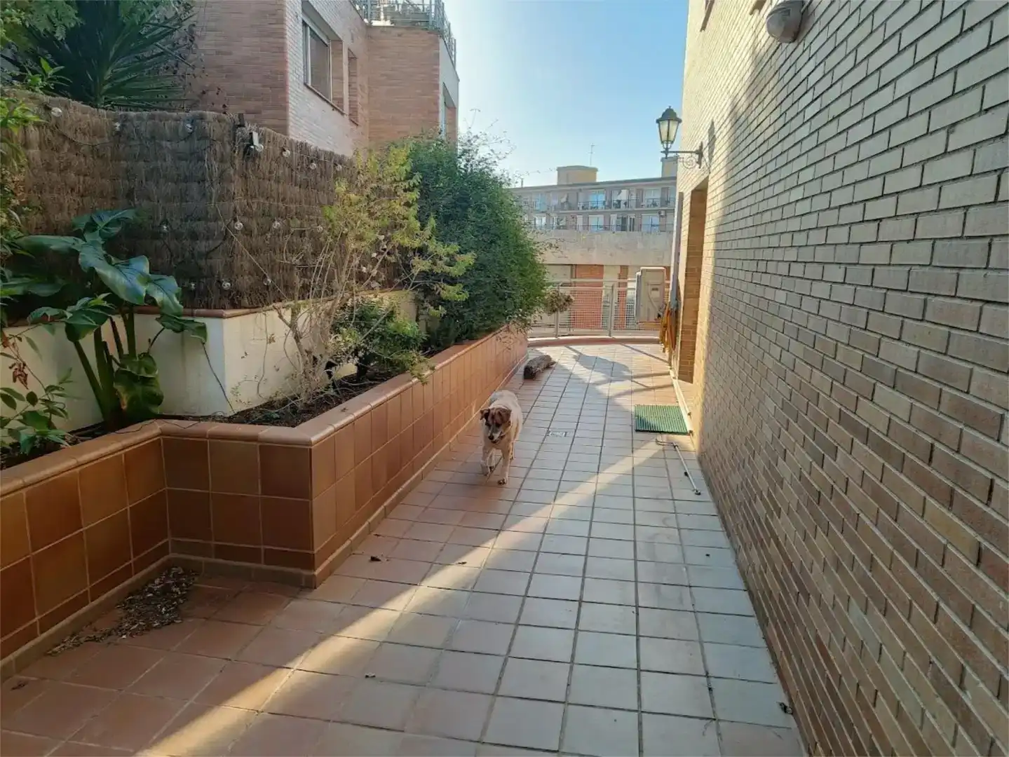 Vista exterior de Pis en venda en Barcelona amb Aire condicionat, Jardí privat i Parquet