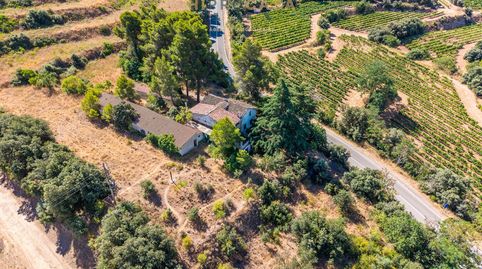 FINCA VITIVINÍCOLA ECOLÓGICA EN FALSET