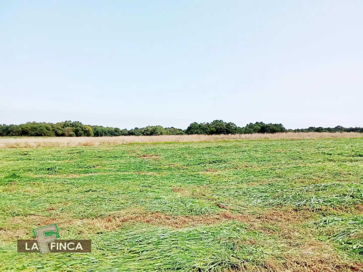 Residencial en venda en El Franco 