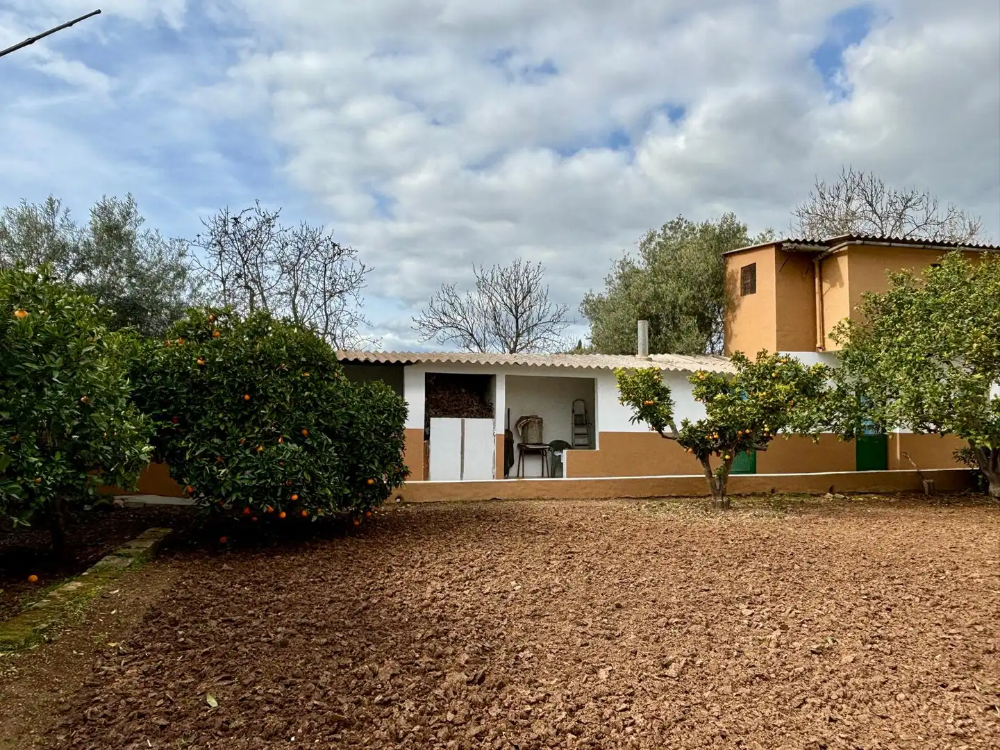 Vista exterior de Finca rústica en venta en Marratxí
