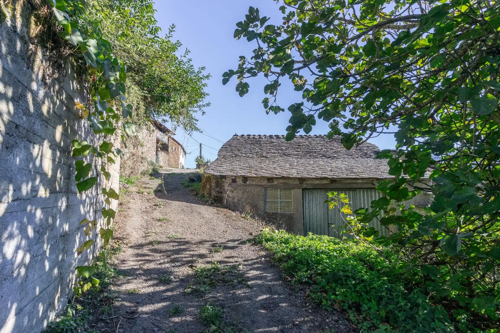 Vista exterior de Finca rústica en venda en Negueira de Muñiz , Lugo