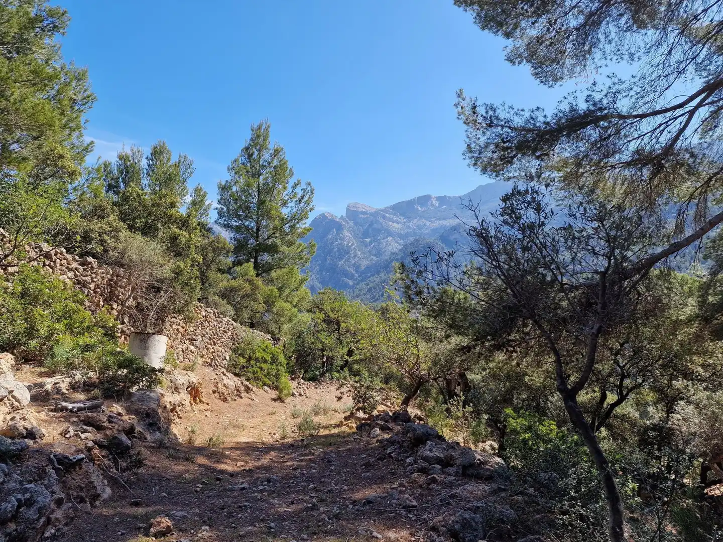 Vista exterior de Terreno en venta en Sóller