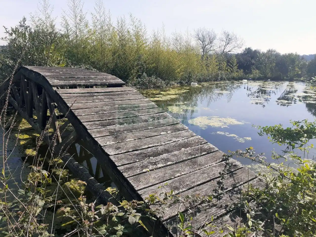 Casa rústica amb jardí en venda a Riudarenes, imagen 20