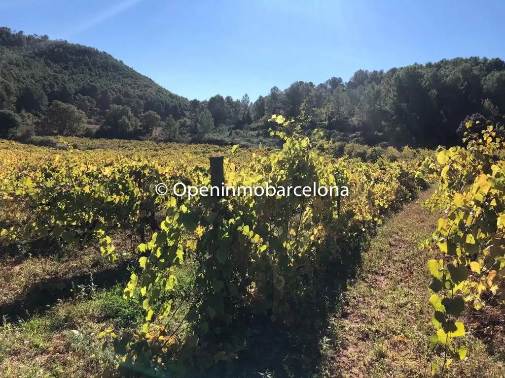Casa rústica en venda a Torrelles de Foix, imagen 4