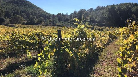 Foto 4 de Finca rústica en venda a Torrelles de Foix, Barcelona