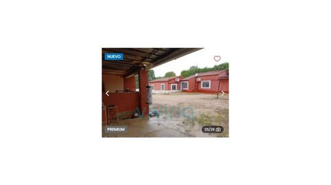 Foto 4 de Casa o chalet en venta en Colonia Baixauli (pl 25), 460, Montserrat, Valencia
