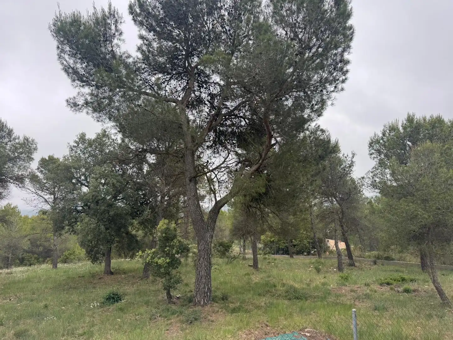 Terreno residenziale in vendita a Avinguda del Bosc, imagen 5