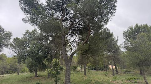 Imatge 5 de l'anunci