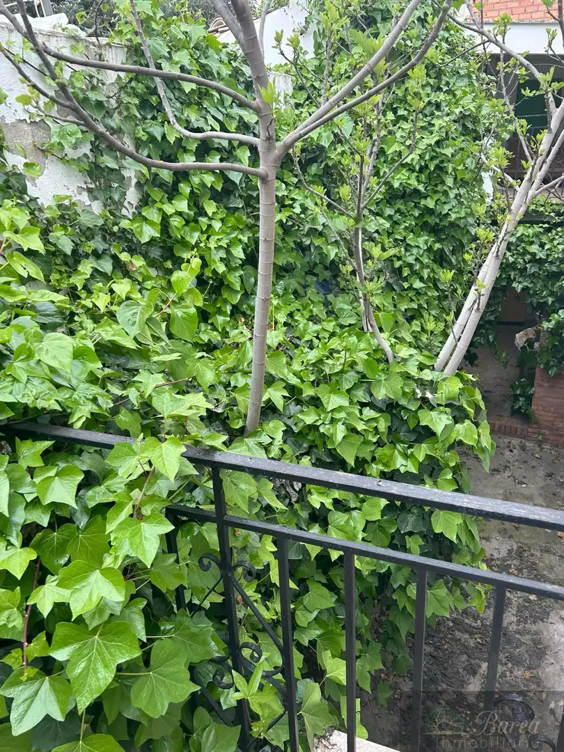 Haus zum Verkauf in Rute, imagen 20