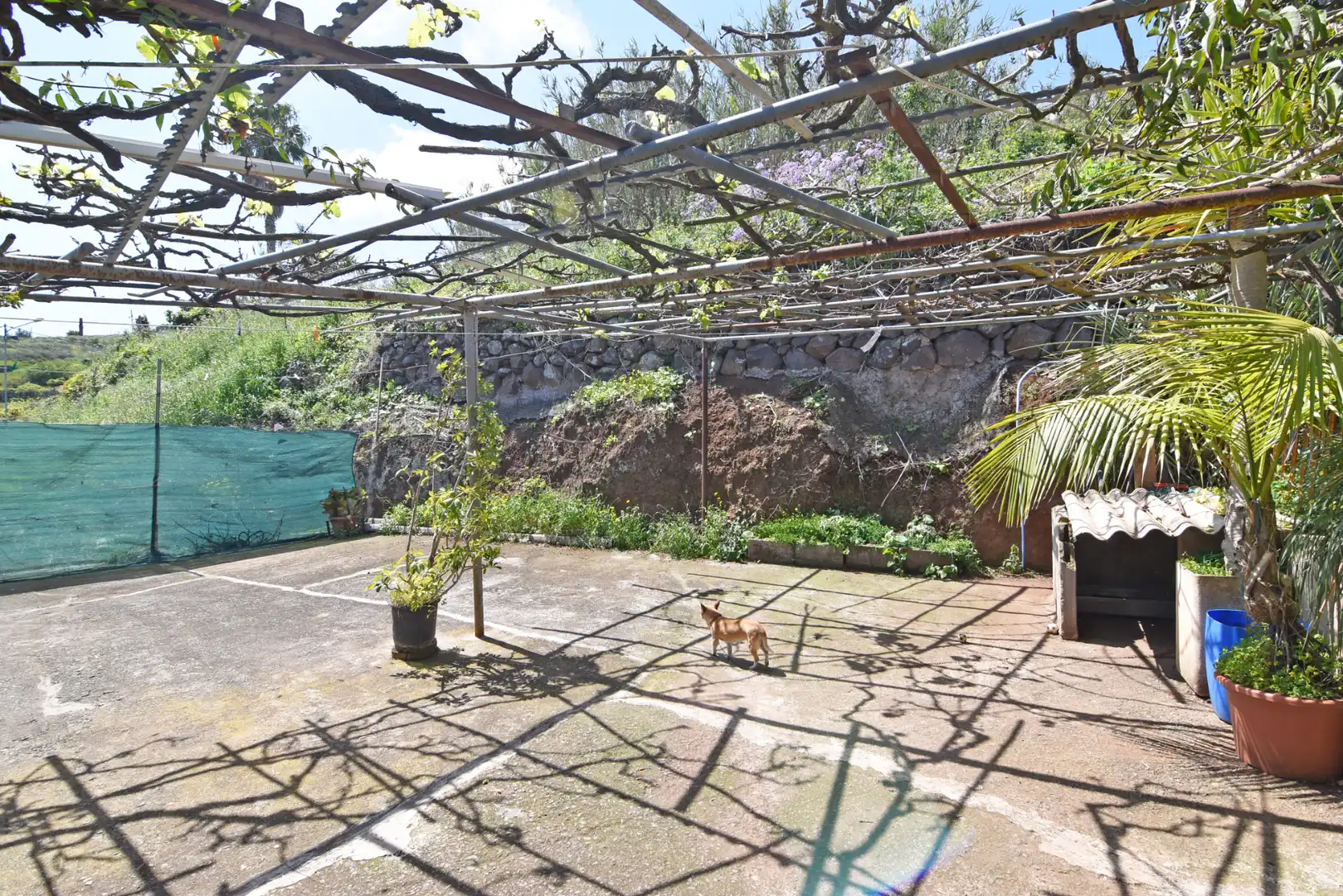 Jardín de Casa o chalet en venta en Firgas con Jardín privado, Terraza y Trastero
