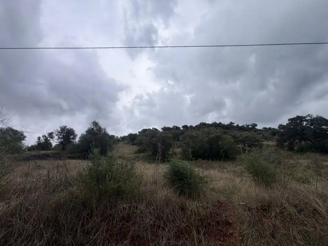 Terreno rústico en venta en C. Chimanes, imagen 13