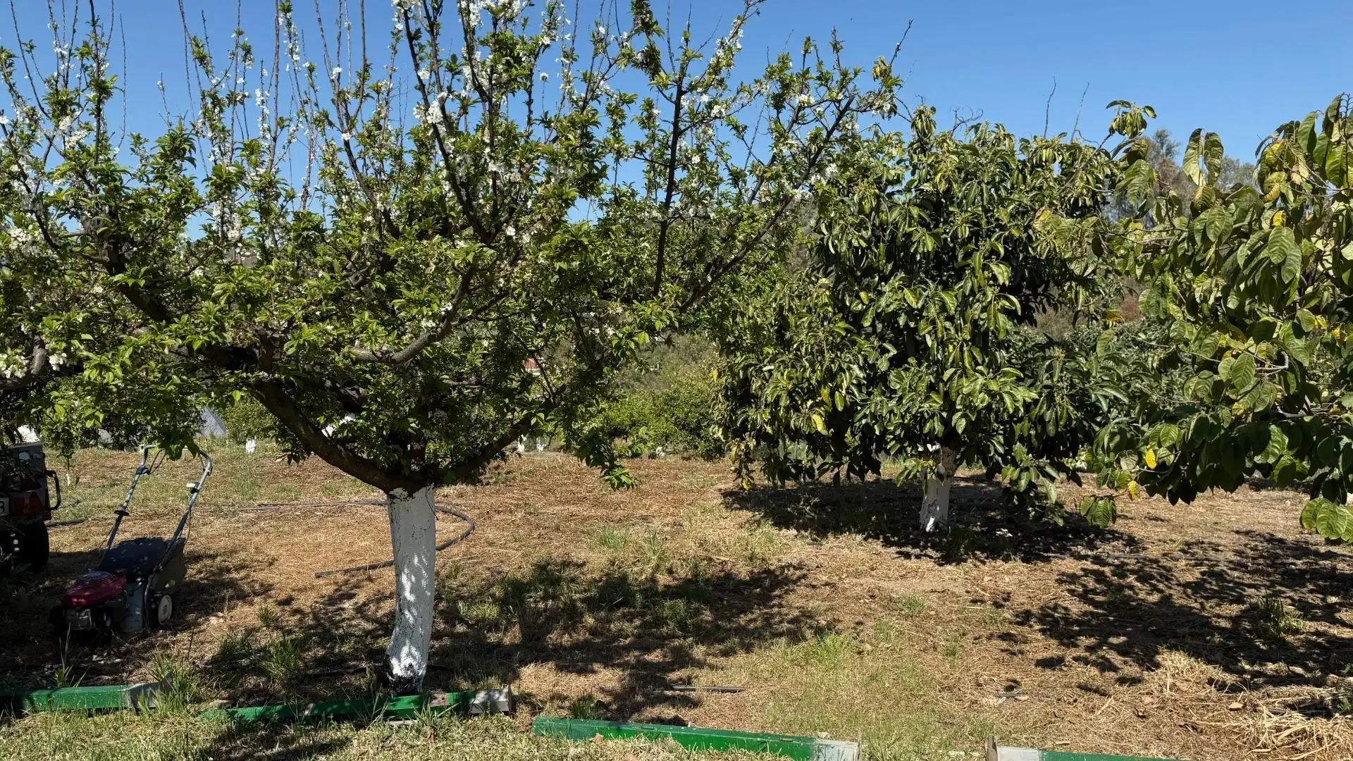 Casa rústica amb piscina en venda a Calle CORTIJO BENITEZ, imagen 25