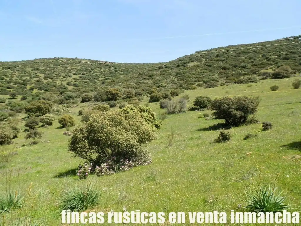 Rural land for sale in Calzada de Calatrava, imagen 23