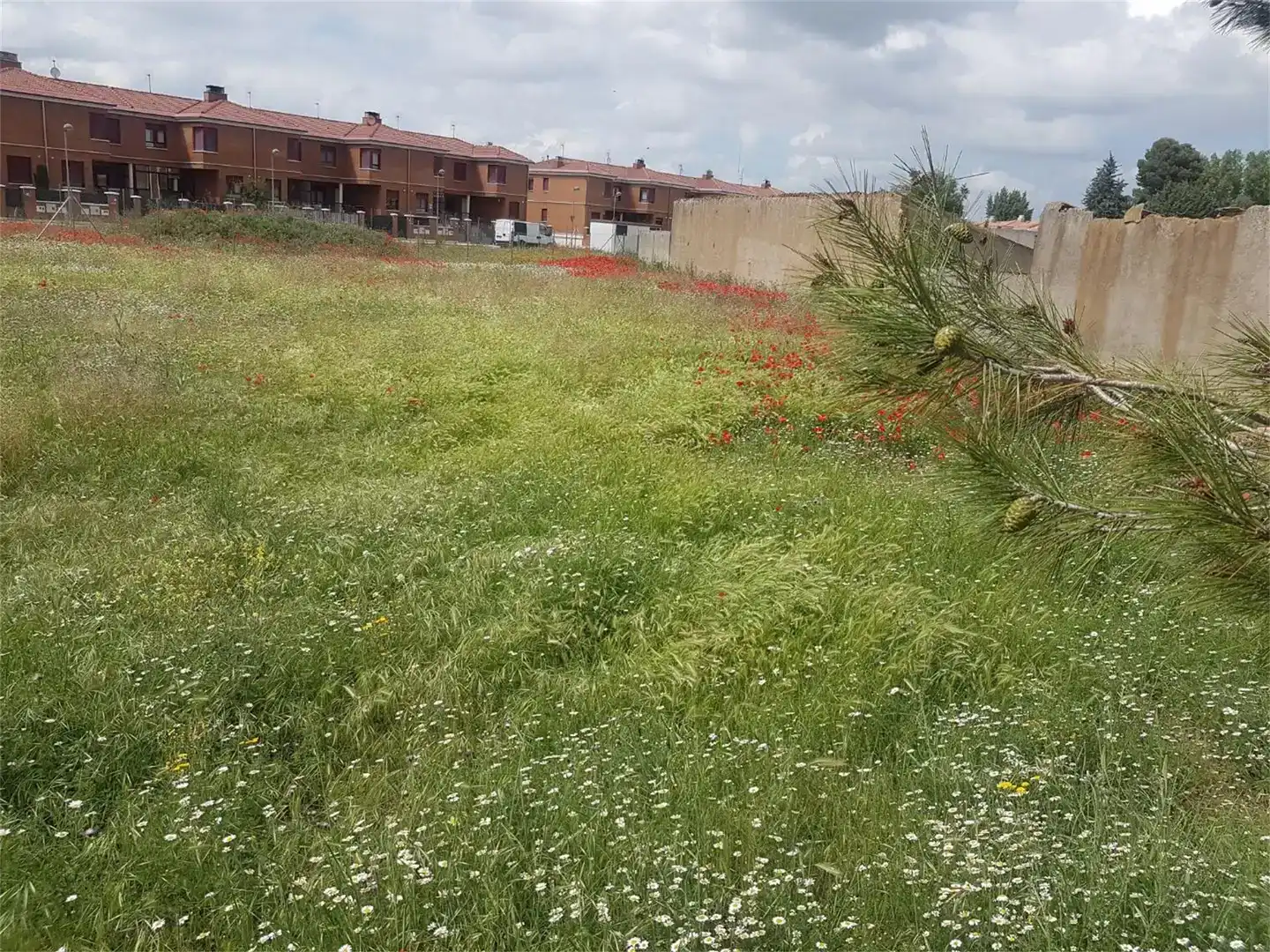 Terreny industrial en venda en Venta de Baños