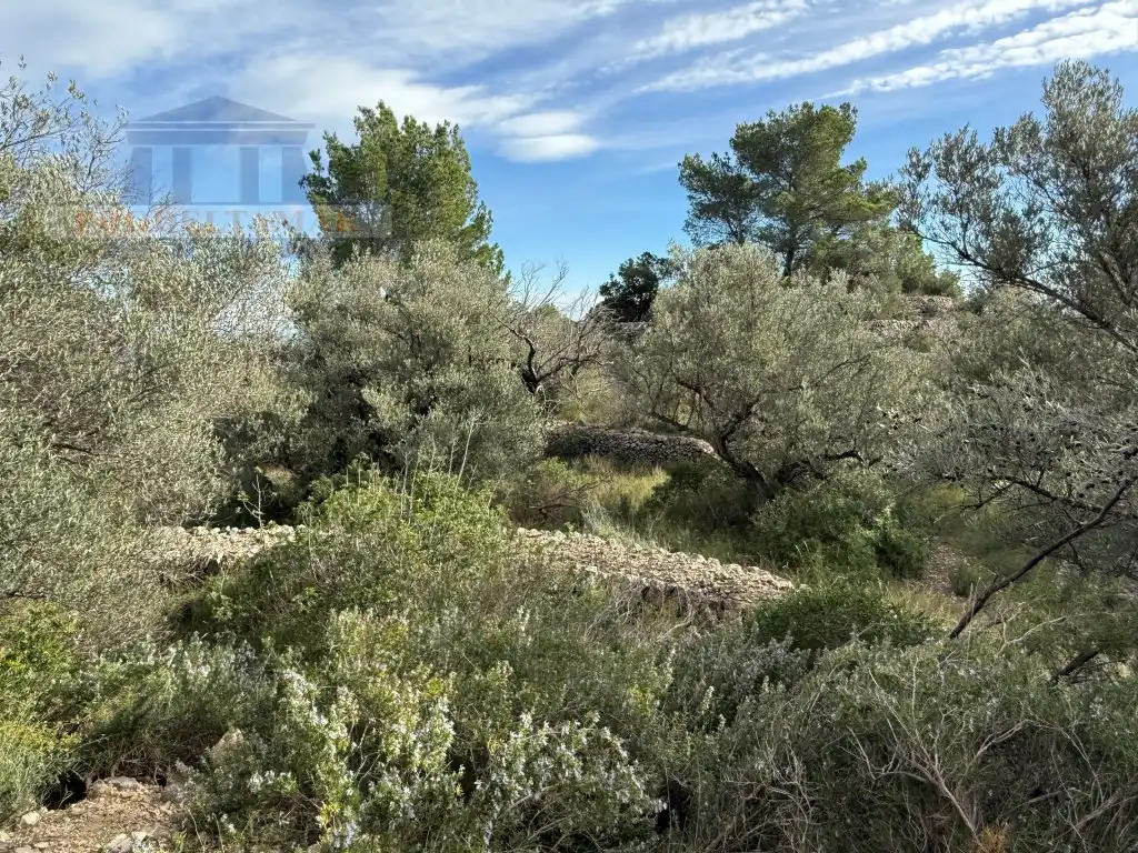 Country house for sale in Poligono 82 Paraje 6 Camp-Redo, imagen 24
