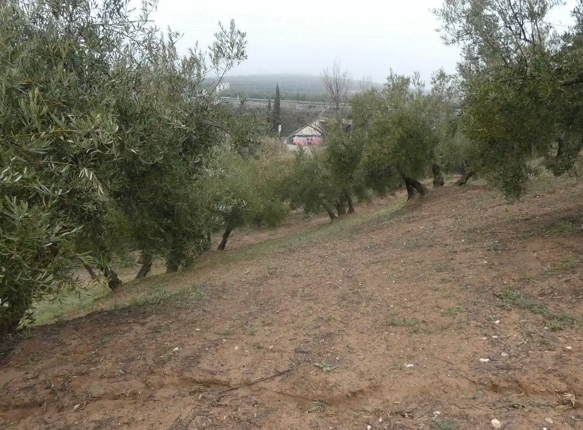 Terreni e lotti in vendita a Peligros, imagen 27