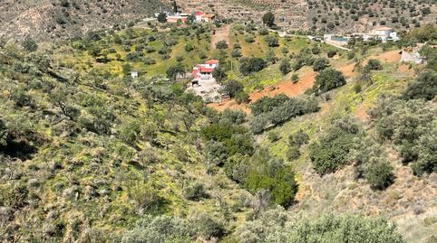 Foto 4 de Finca rústica en venta en Camino Barcenilla Alta, Olías, Málaga Capital