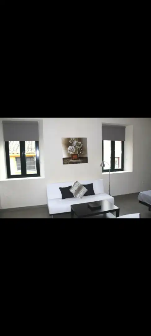 Wohnzimmer von Wohnung zur Miete in Málaga mit Möbliert
