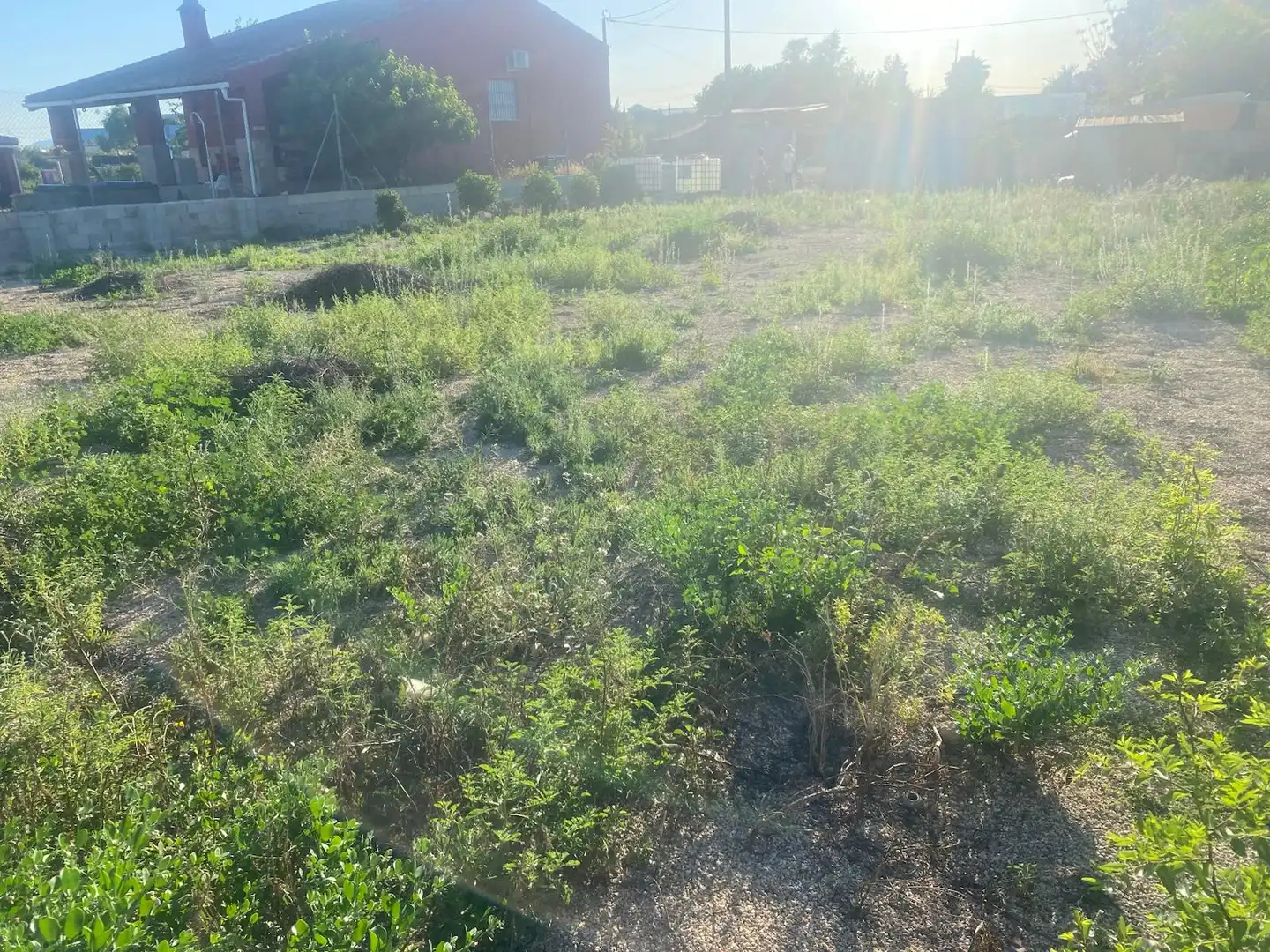 Terrenos y solares en venta en Camino la Loma, imagen 3
