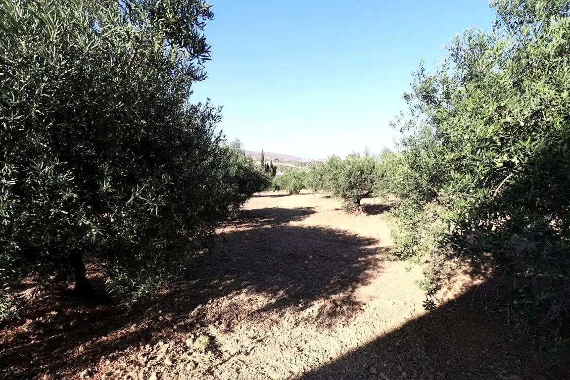 Finca rústica en venta en Alhaurín El Grande
