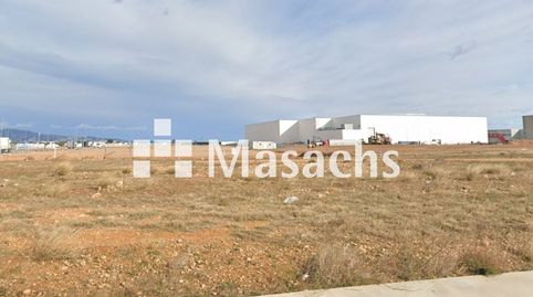 en Vilamalla, imagen 2