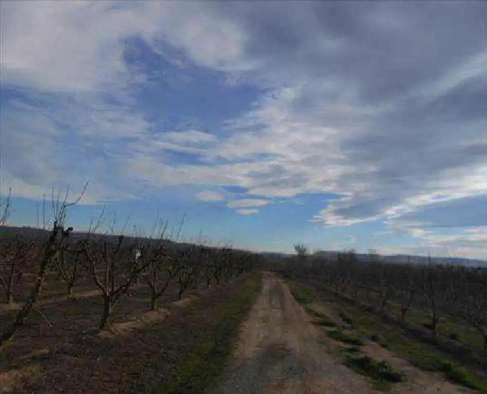Terreno rustico in vendita a Velilla de Cinca