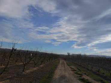 Terreny rústic en venda a Velilla de Cinca