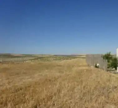 Rustikales Grundstück zum Verkauf in C/ San javier, imagen 7