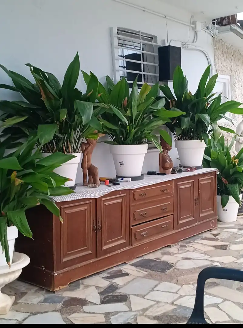 Jardí de Casa o xalet en venda en Esparreguera
