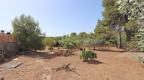 Chalet en venta en suelo rústico en Turís, imatge 2